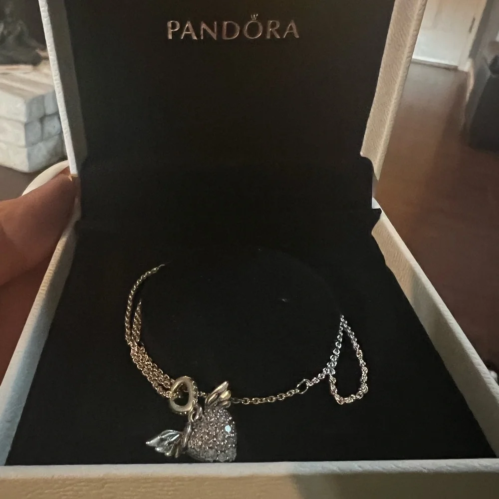 Pandora elegant necklace